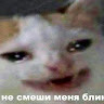 Ксения Пелёвина