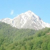 Севак Абрамян