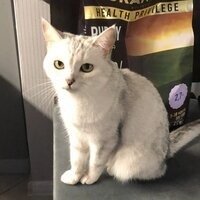 Евгения Кулюпина