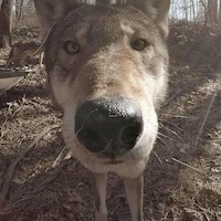 Нурсултан