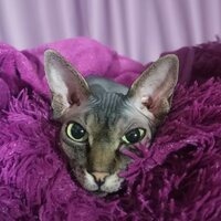 Любовь Сельдяева