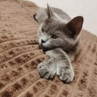 Алина Владимировна