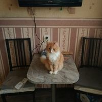 Илья Хорев