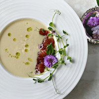 Анастасия Crab