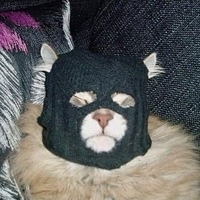 Волков Даня