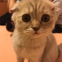 Алексеева Яна
