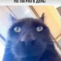 Андрей Александрович