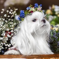 Чемакина Екатерина