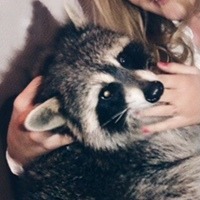 Сасин Дмитрий