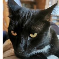 Марина Попова