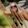 tanya_spb