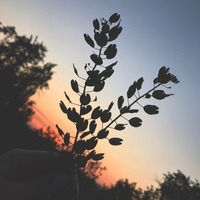 Анастасова Анастасия