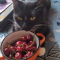 Олеся