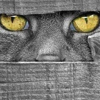 Анатольевич Анатолий