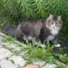 Центр здоровья ЛариMED