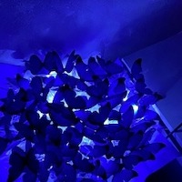 Иванова Виолетта