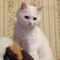 Ирина Дагаева
