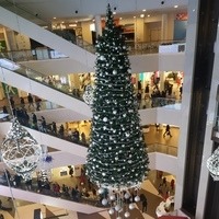 Стёпкин Гарик