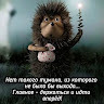 Елена Токмакова