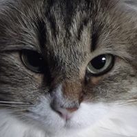 Саша Попов