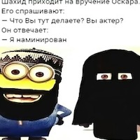 Дарина Никитина