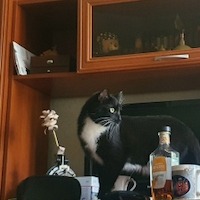 Смирнов Константин