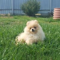 Марина Меновщикова