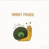 Шафоростова Елизавета