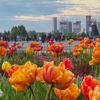 Надежда Аванесян