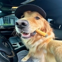 Мастраков Алексей