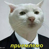 Никишин Илья