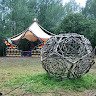 Павловния Беларусь