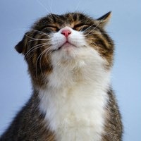 Ундасов Антон