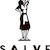 Администратор Salve
