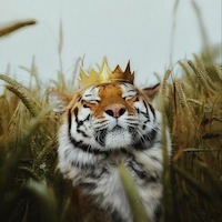 Илья Михеенко