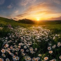 Колесникова Екатерина