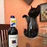 Владислав Мисанец