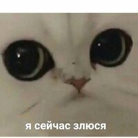 Валерия Следникова