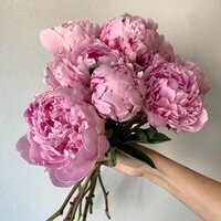Варвава Смирнова