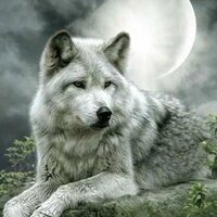 Зинаида Качнова
