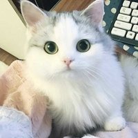 Ирина Кузнецова
