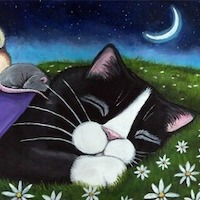 Кошкина Яна