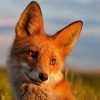 Фахрутдинова Яна