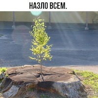Иван Евгеньевич