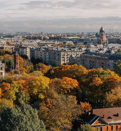 Панорамный вид