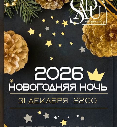 Новогодняя ночь