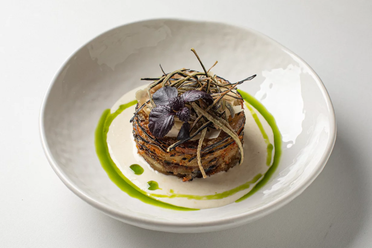 Новое меню в Sansa