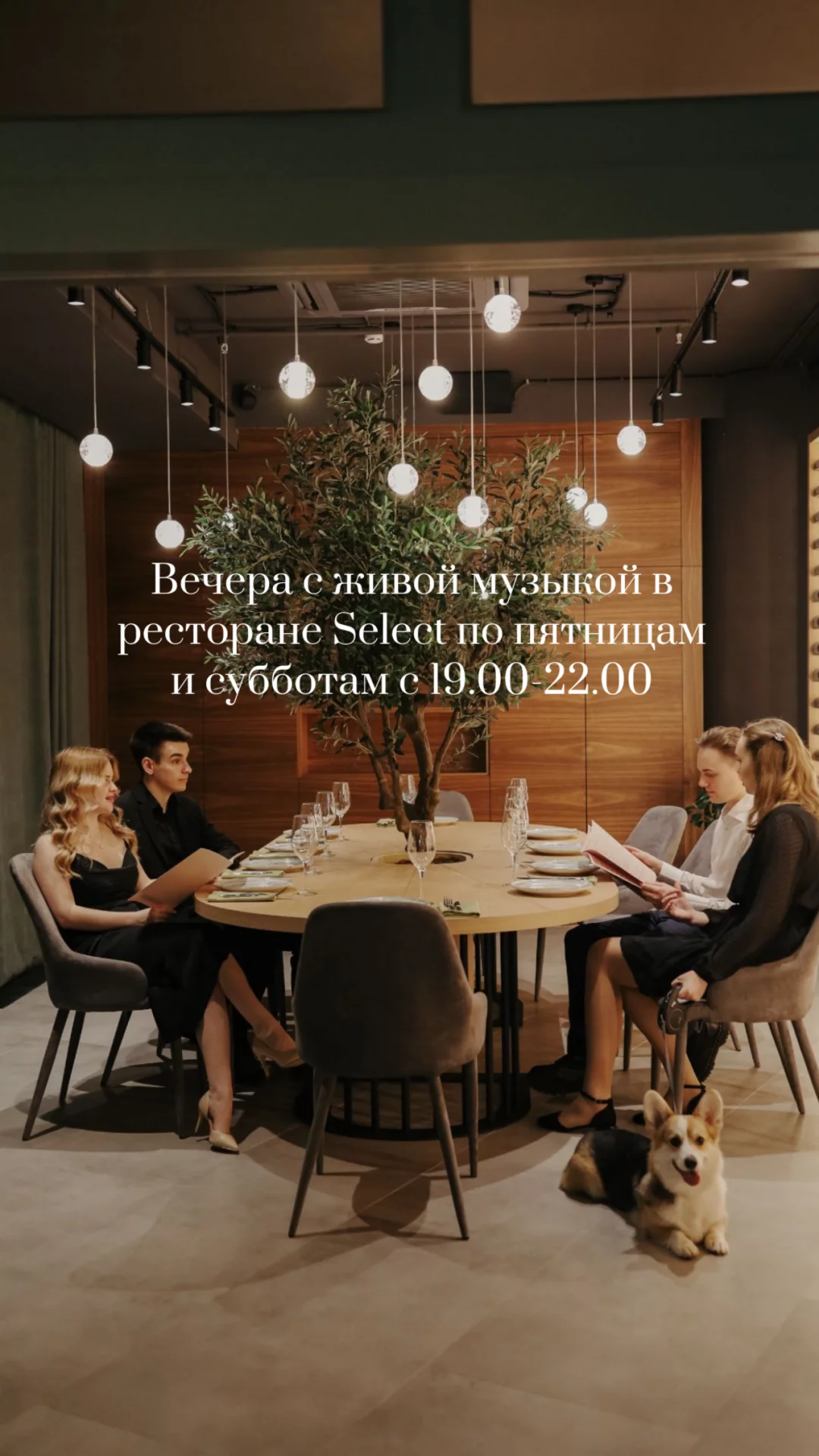 Живая музыка