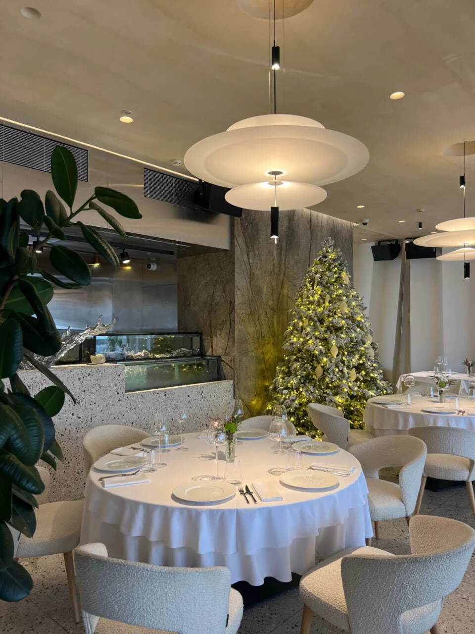 Новый год в Sansa