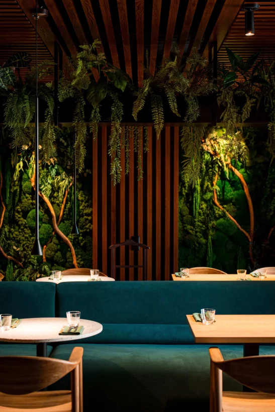 Счастливые часы в Hedo